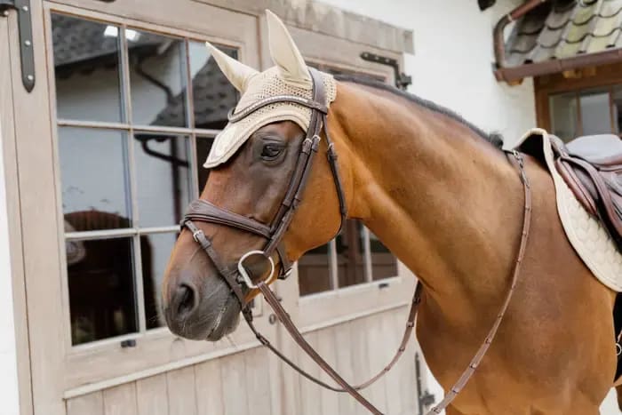 Kentucky Fly veil Wellington 3D Logo Rope - Løwenborg - Kentucky Horsewear