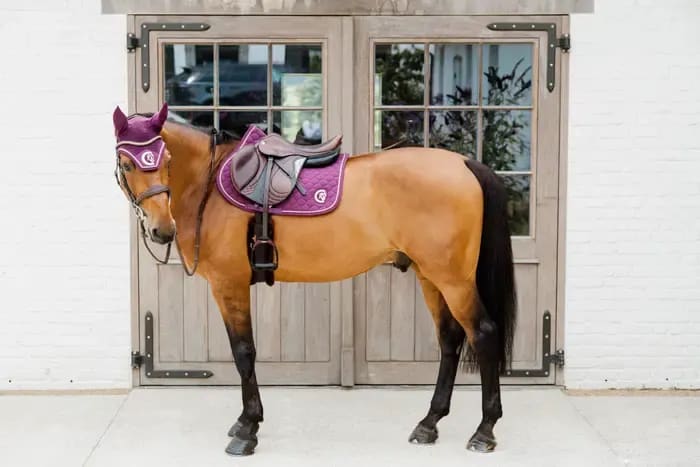 Kentucky Fly veil Wellington 3D Logo Rope - Løwenborg - Kentucky Horsewear