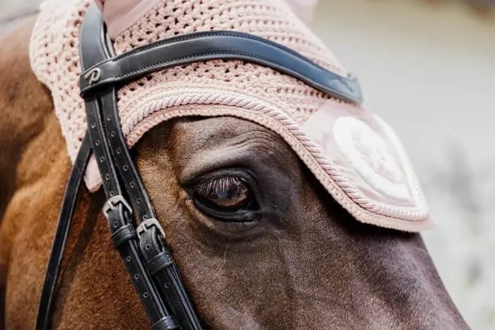 Kentucky Fly veil Wellington 3D Logo Rope - Løwenborg - Kentucky Horsewear