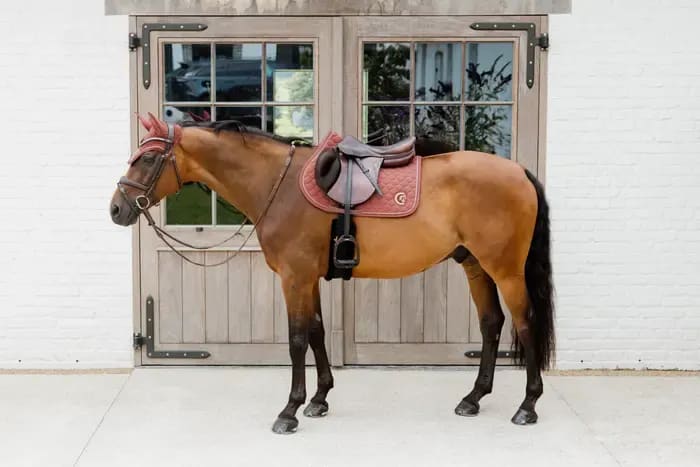 Kentucky Fly veil Wellington 3D Logo Rope - Løwenborg - Kentucky Horsewear