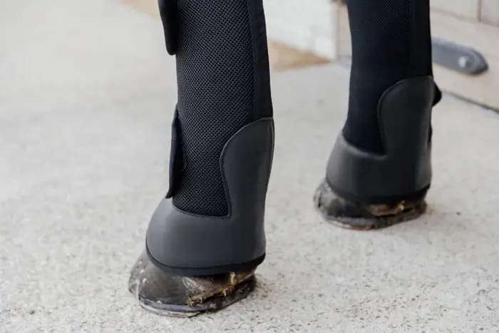 Kentucky 3D Spacer Travel Boots Front - Løwenborg - Kentucky Horsewear