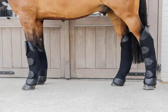 Kentucky 3D Spacer Travel Boots Front - Løwenborg - Kentucky Horsewear