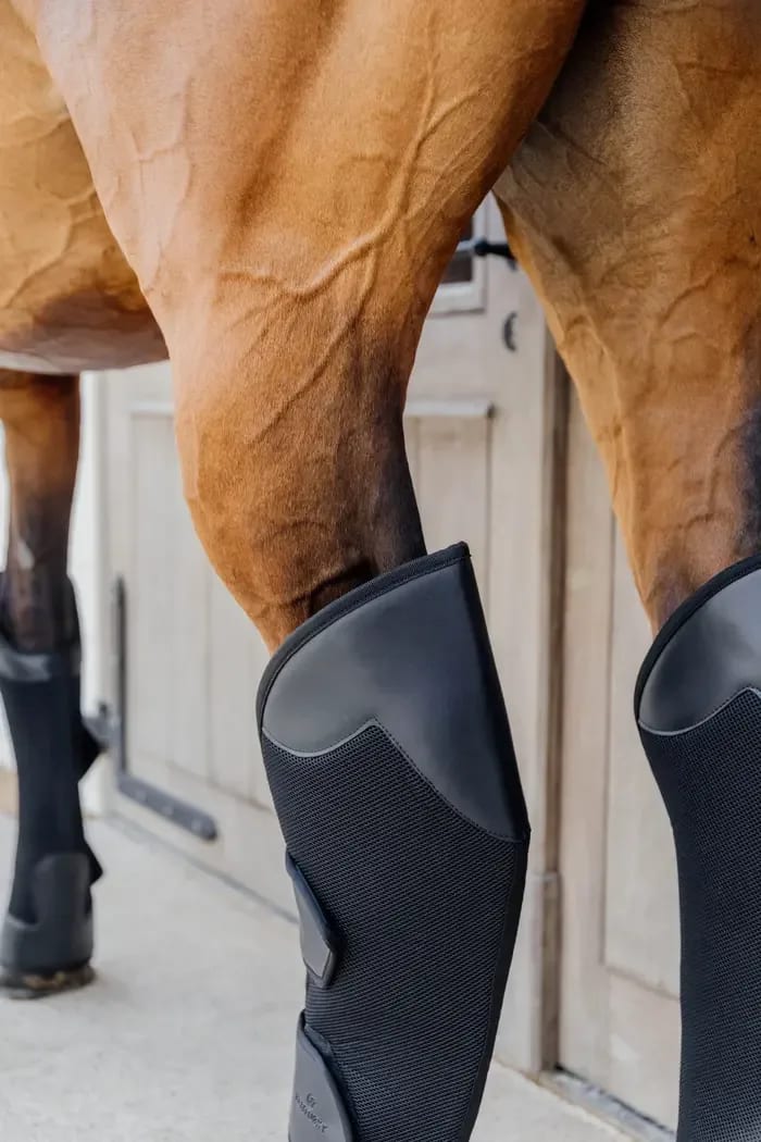 Kentucky 3D Spacer Travel Boots Hind - Løwenborg - Kentucky Horsewear