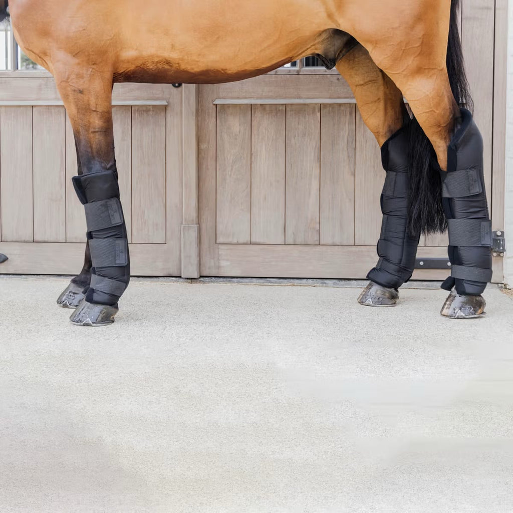 Kentucky Stable boots PROtect Long Front - Løwenborg - Kentucky Horsewear