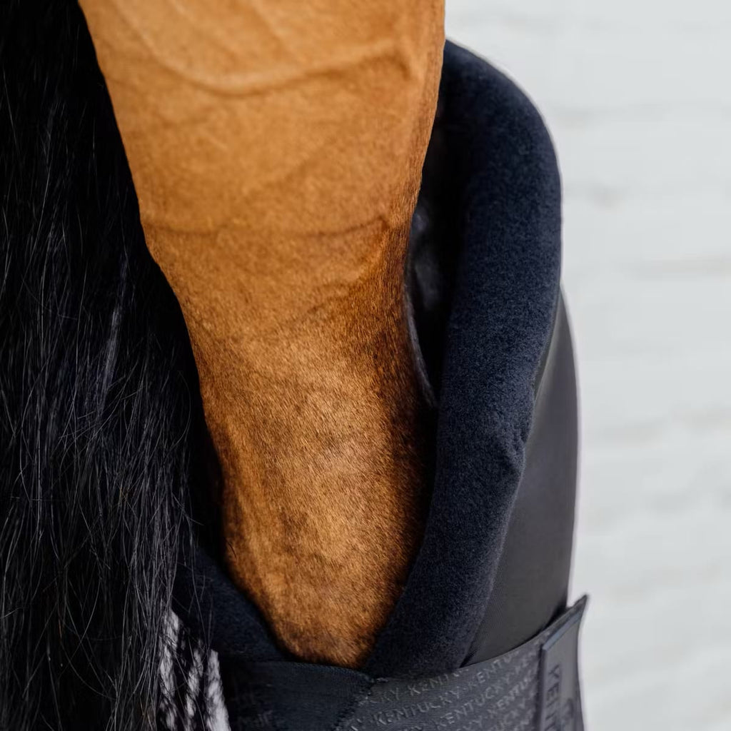Kentucky Stable boots PROtect Long Hind - Løwenborg - Kentucky Horsewear