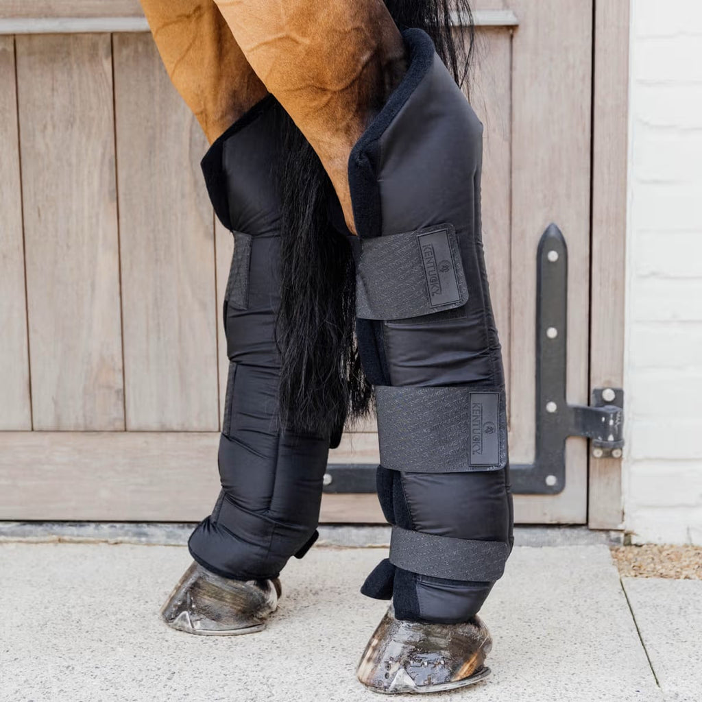 Kentucky Stable boots PROtect Long Hind - Løwenborg - Kentucky Horsewear