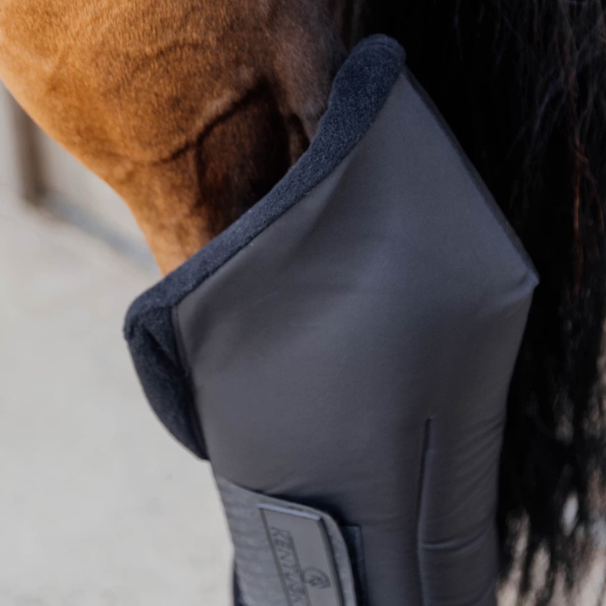Kentucky Stable boots PROtect Long Hind