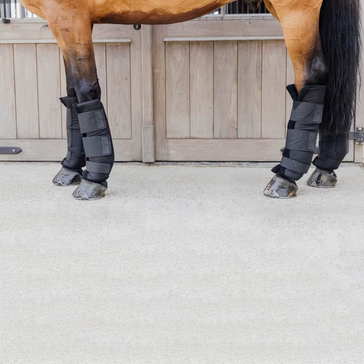 Kentucky Stable boots PROtect Classic Hind