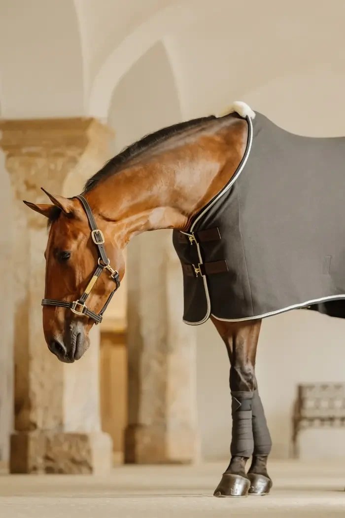Kentucky Polar Fleece Bandage Show Vegan Wool - Løwenborg - Kentucky Horsewear