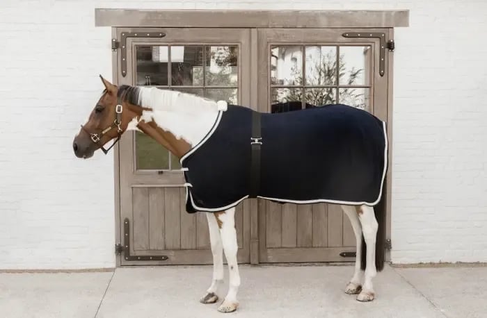 Kentucky Elastic Rug Belt - Løwenborg - Kentucky Horsewear