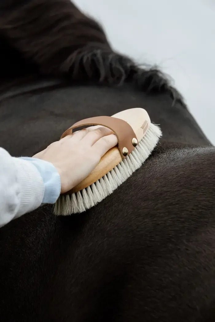 Grooming Deluxe Overall Brush Body Shine - Løwenborg - Grooming Deluxe