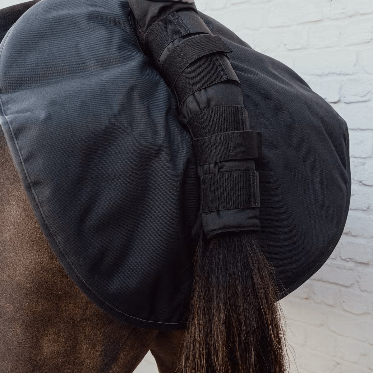 Kentucky Quarter Guard