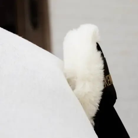 Kentucky Sheepskin Tailguard - Løwenborg - Kentucky Horsewear