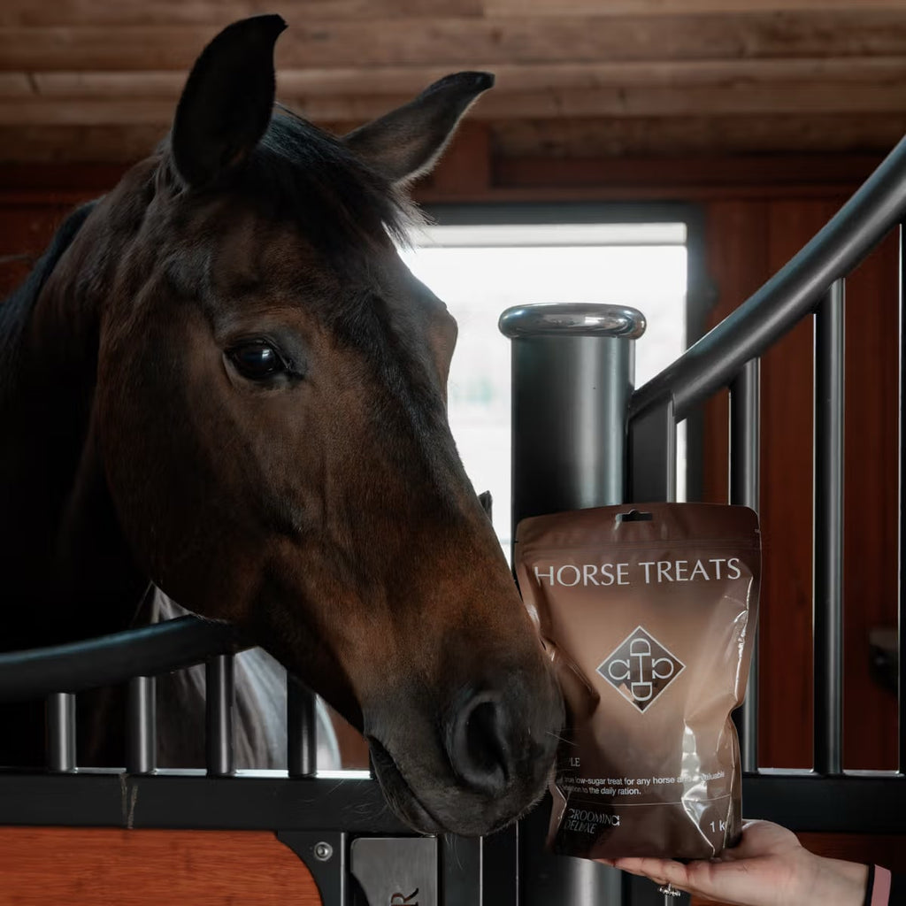 Grooming Deluxe Horse Treats - Løwenborg - Grooming Deluxe