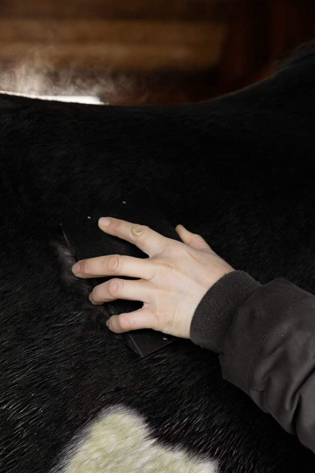 Grooming Deluxe Steel Curry Comb - Løwenborg - Grooming Deluxe