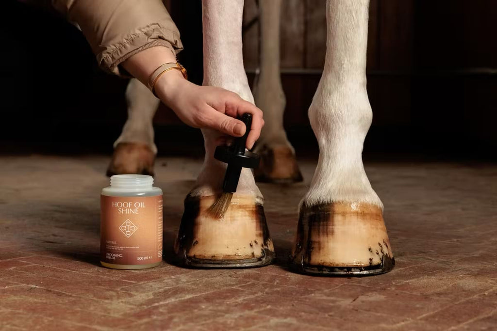 Grooming Deluxe Hoof Oil Shine - Løwenborg - Grooming Deluxe