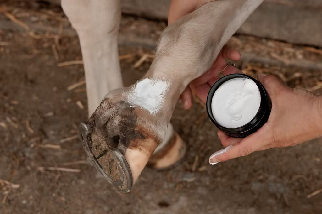 Grooming Deluxe Mud Fever Cream Plus - Løwenborg - Grooming Deluxe