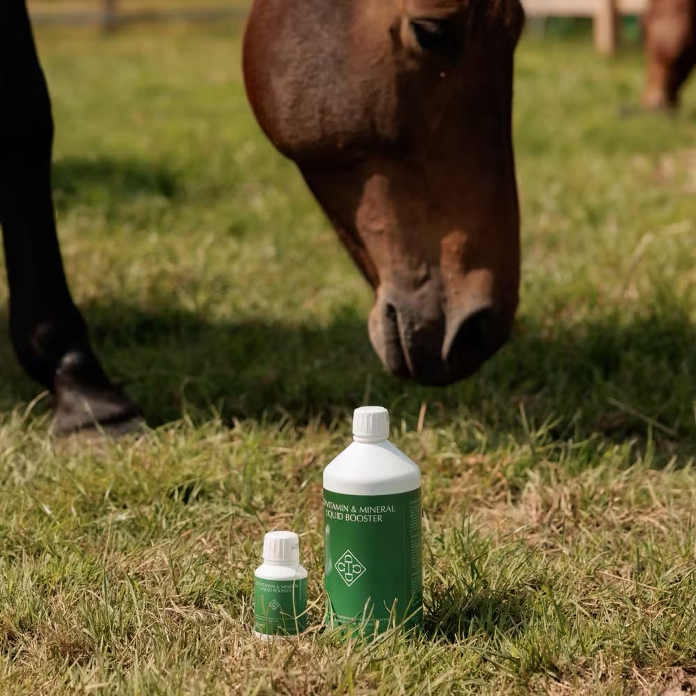 Grooming Deluxe Vitamin & Mineral Liquid Booster - Løwenborg - Grooming Deluxe