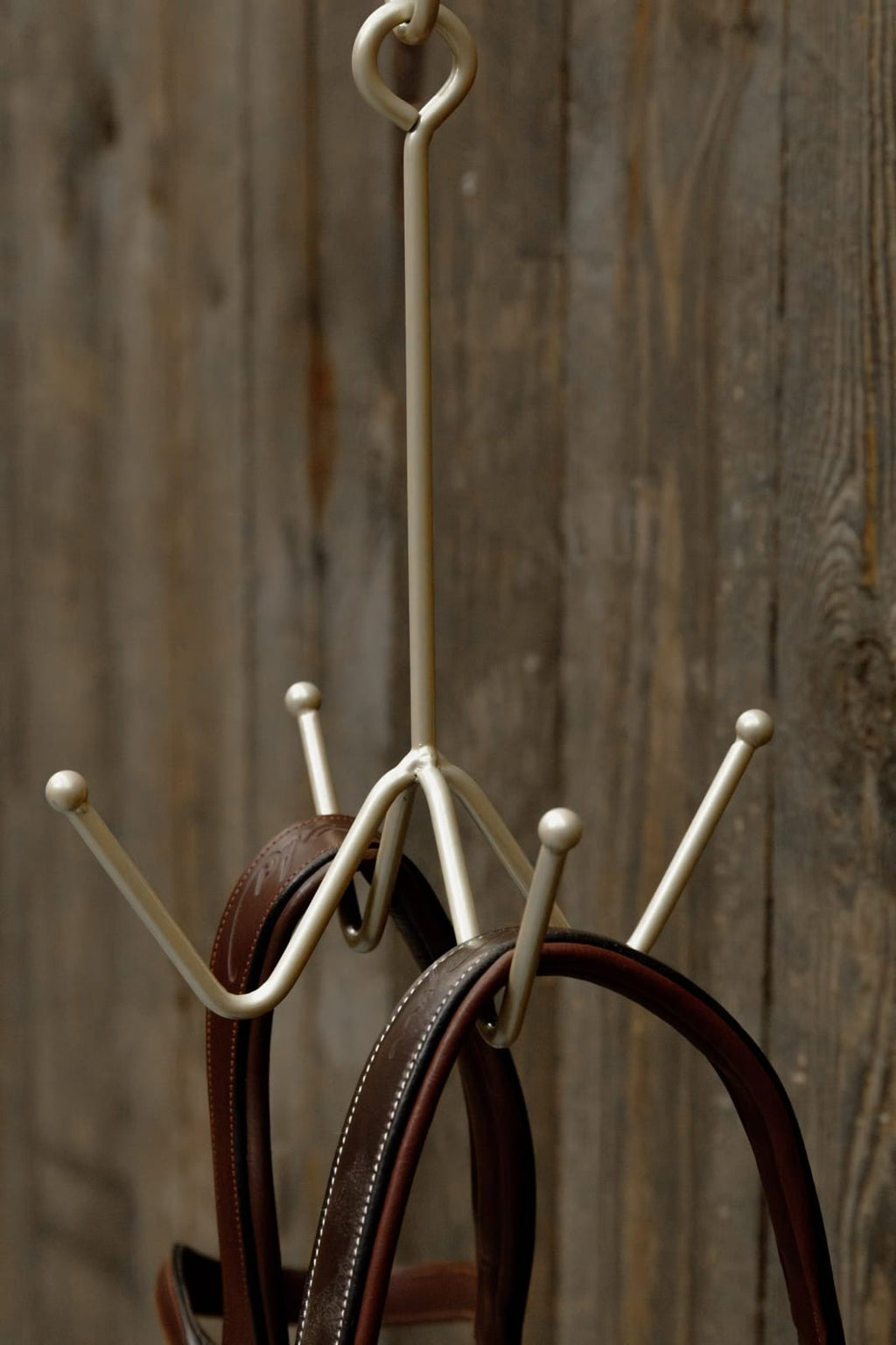 Grooming Deluxe Bridle Hook 4 Prong w/ Wall Attachment - Løwenborg - Grooming Deluxe