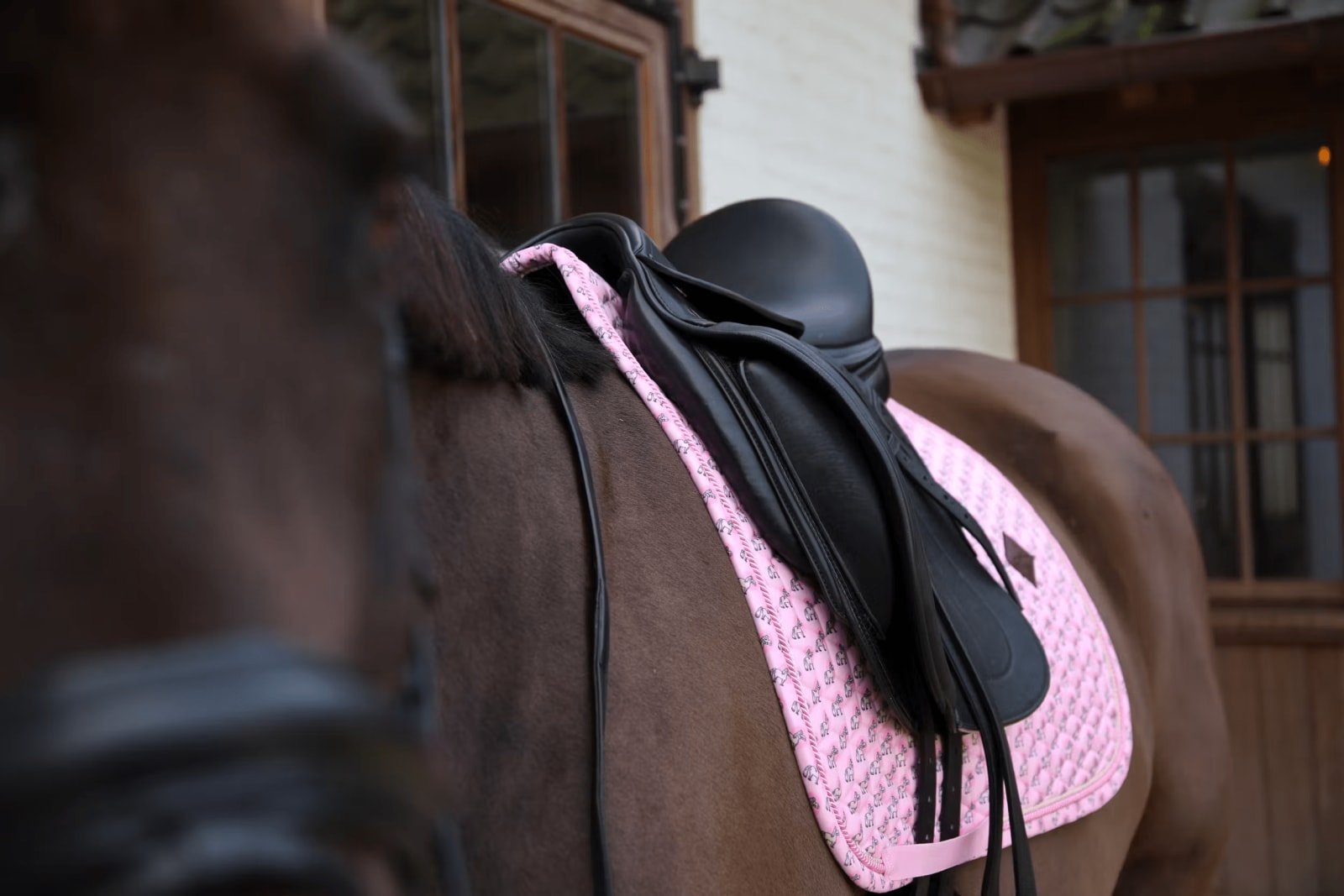 Kentucky Saddle Pad Sammy Dressage - Løwenborg - Kentucky Horsewear