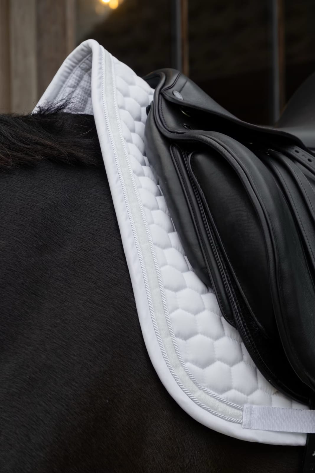 Kentucky Saddle Pad Glitter Band Dressage - Løwenborg - Kentucky Horsewear