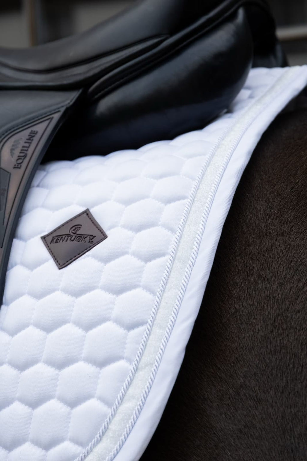 Kentucky Saddle Pad Glitter Band Dressage - Løwenborg - Kentucky Horsewear
