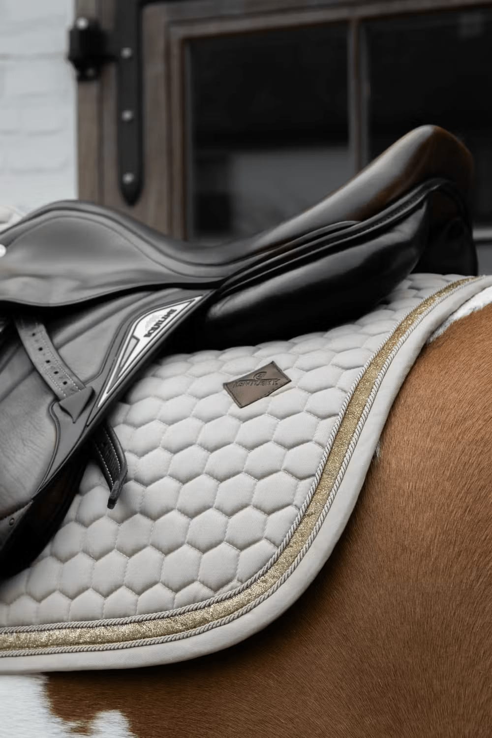 Kentucky Saddle Pad Glitter Band Jumping - Løwenborg - Kentucky Horsewear