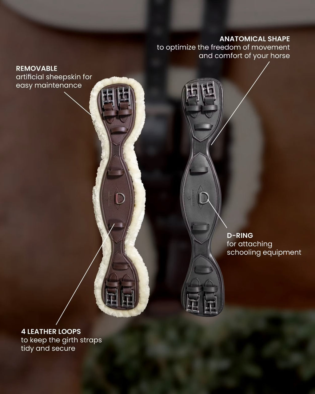Kentucky Anatomic Short Girth - Løwenborg - Kentucky Horsewear