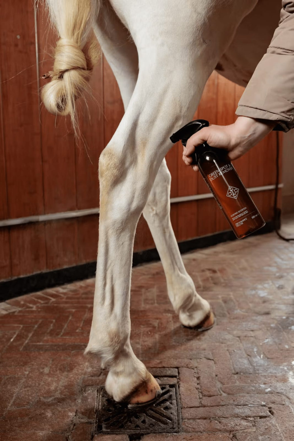 Grooming Deluxe Green Spot & Dust Remover - Løwenborg - Grooming Deluxe