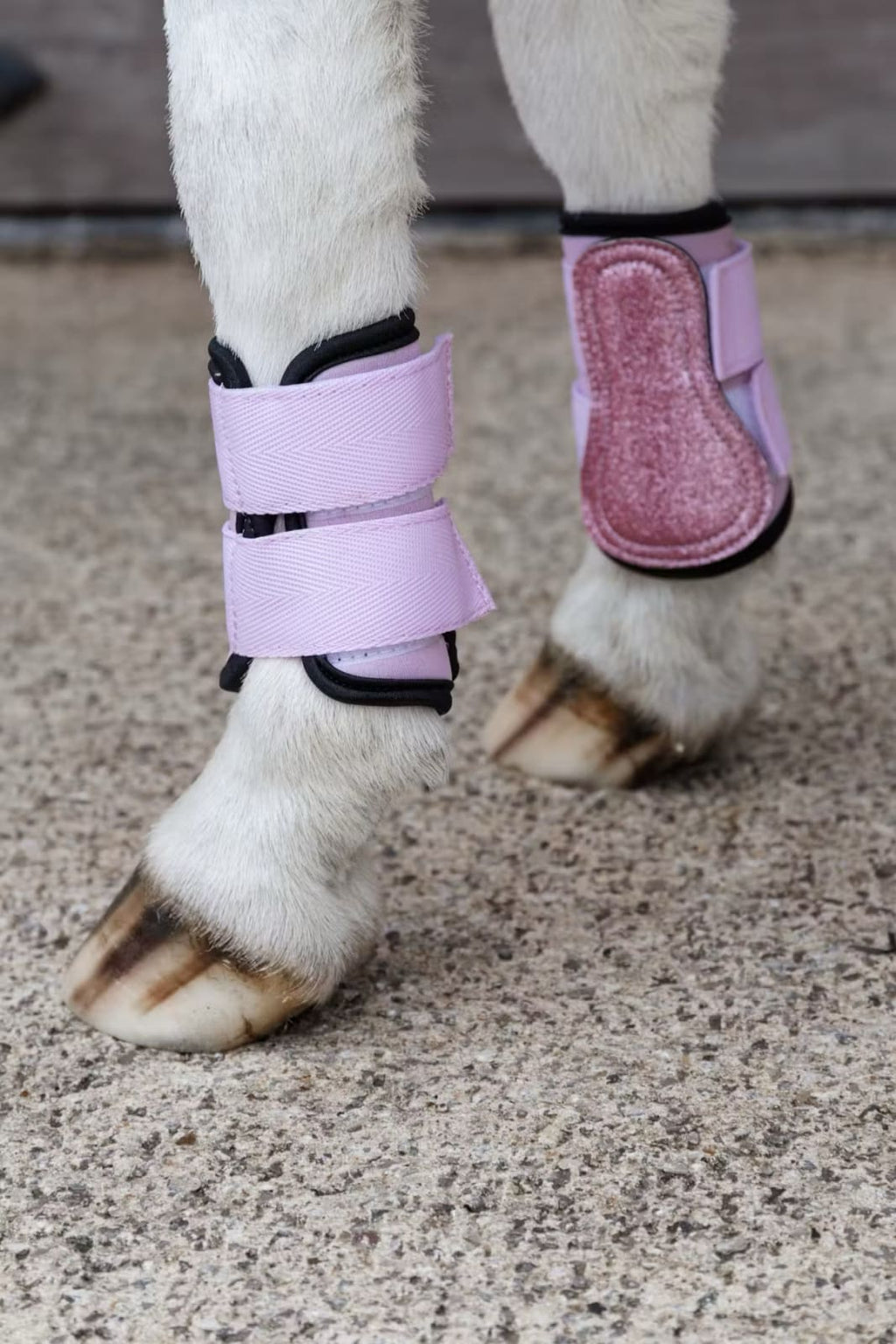 Kentucky Turnout Boots Sammy Unicorn Glitter - Løwenborg - Kentucky Horsewear