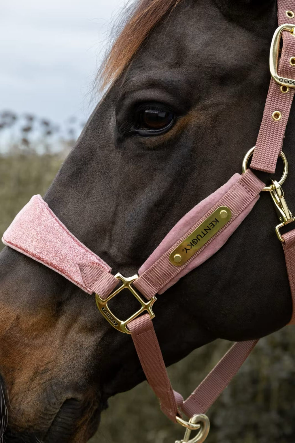 Kentucky Velvet Halter Unicorn Glitter - Løwenborg - Kentucky Horsewear