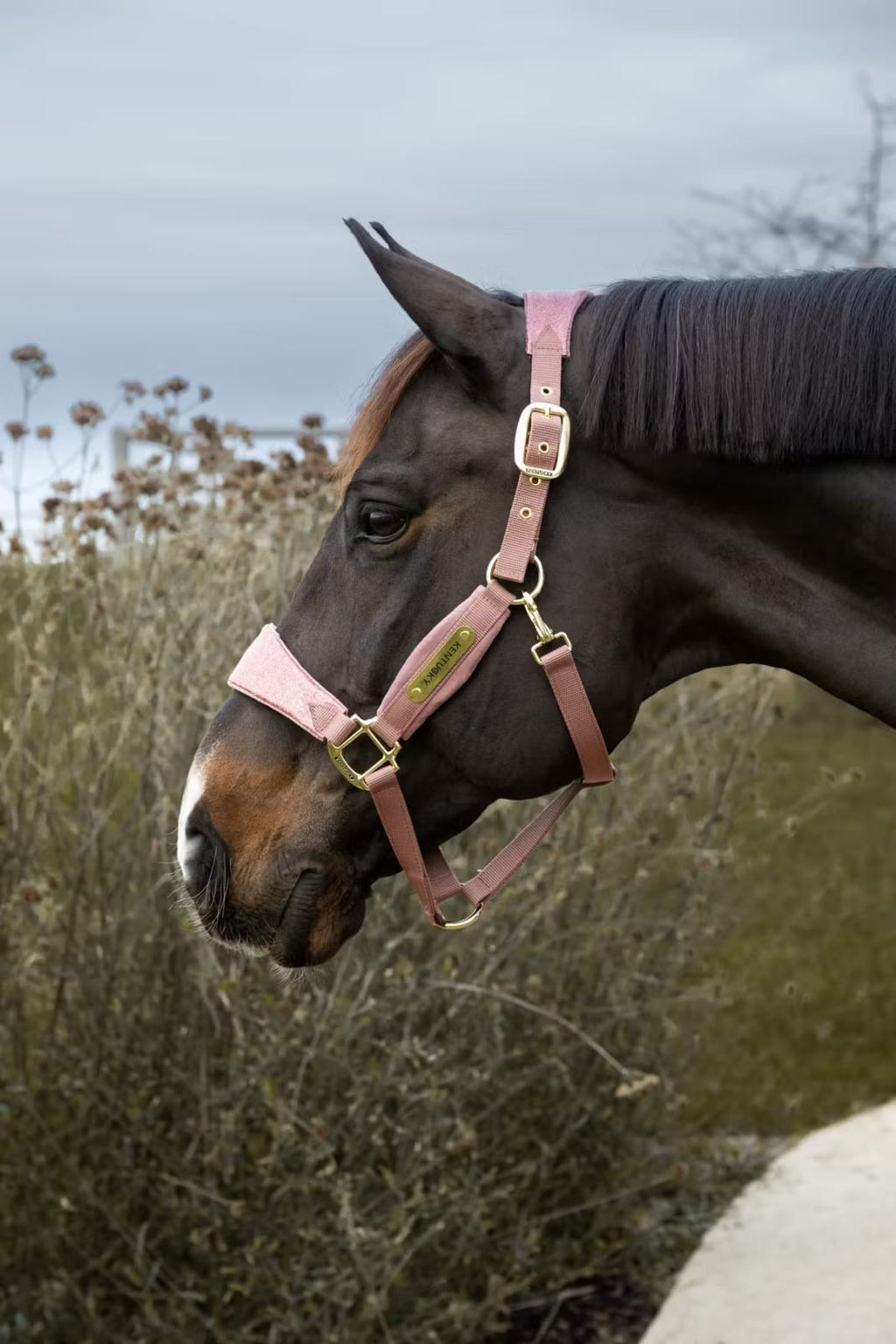 Kentucky Velvet Halter Unicorn Glitter - Løwenborg - Kentucky Horsewear