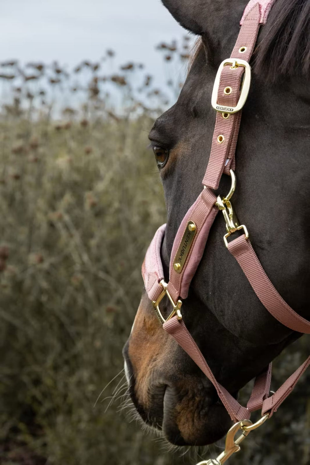 Kentucky Velvet Halter Unicorn Glitter - Løwenborg - Kentucky Horsewear