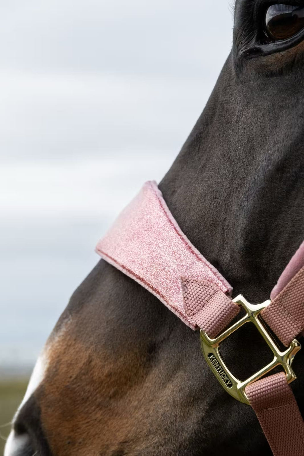 Kentucky Velvet Halter Unicorn Glitter - Løwenborg - Kentucky Horsewear