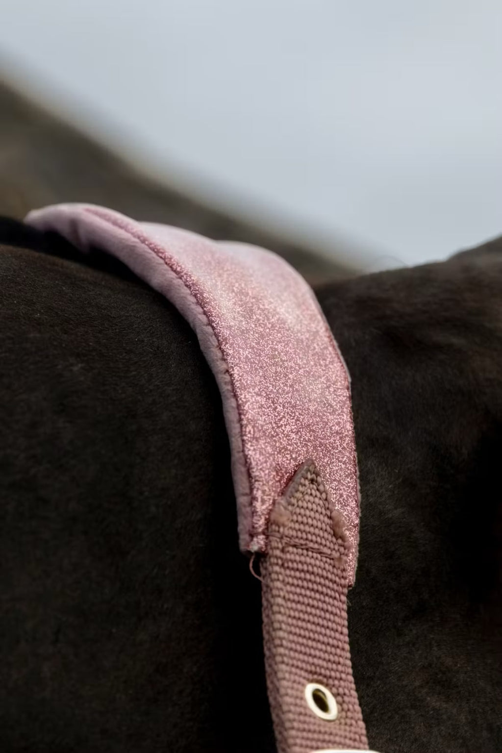 Kentucky Velvet Halter Unicorn Glitter - Løwenborg - Kentucky Horsewear