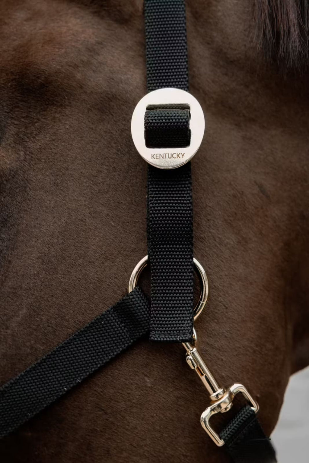Kentucky Nylon Halter - Løwenborg - Kentucky Horsewear