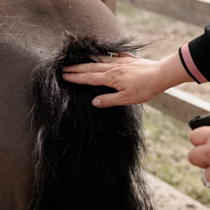 Grooming Deluxe Itch Stop Plus - Løwenborg - Grooming Deluxe