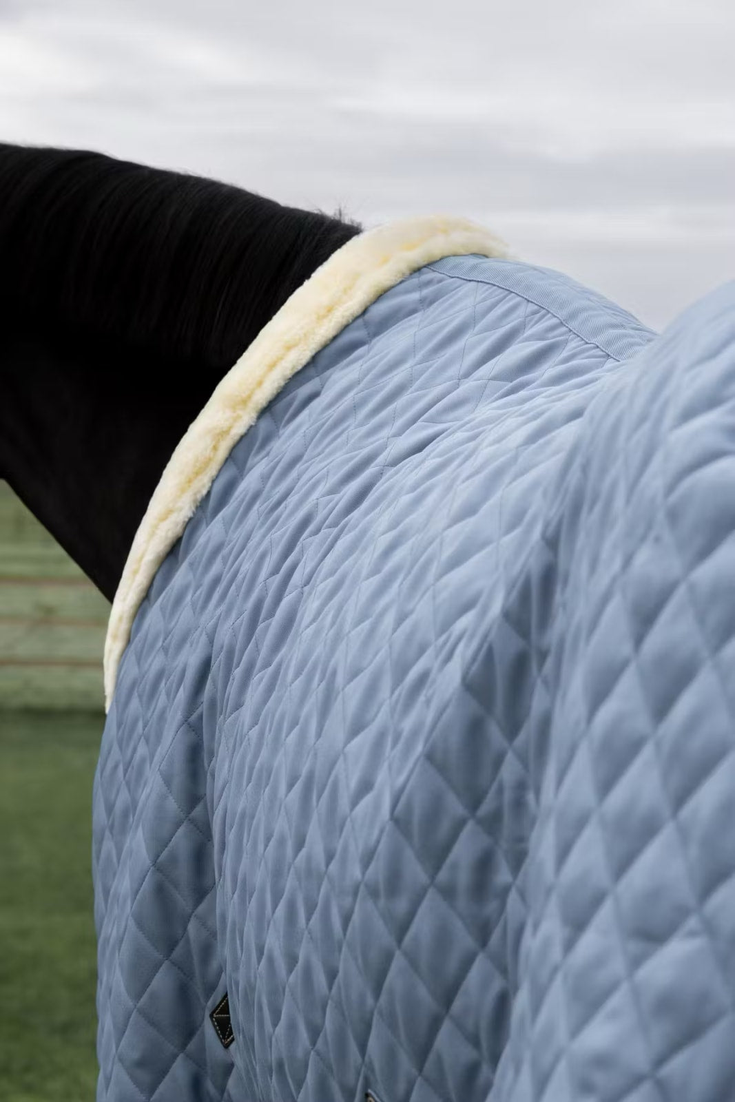 Kentucky Show Rug w/Braided Rope - Løwenborg - Kentucky Horsewear