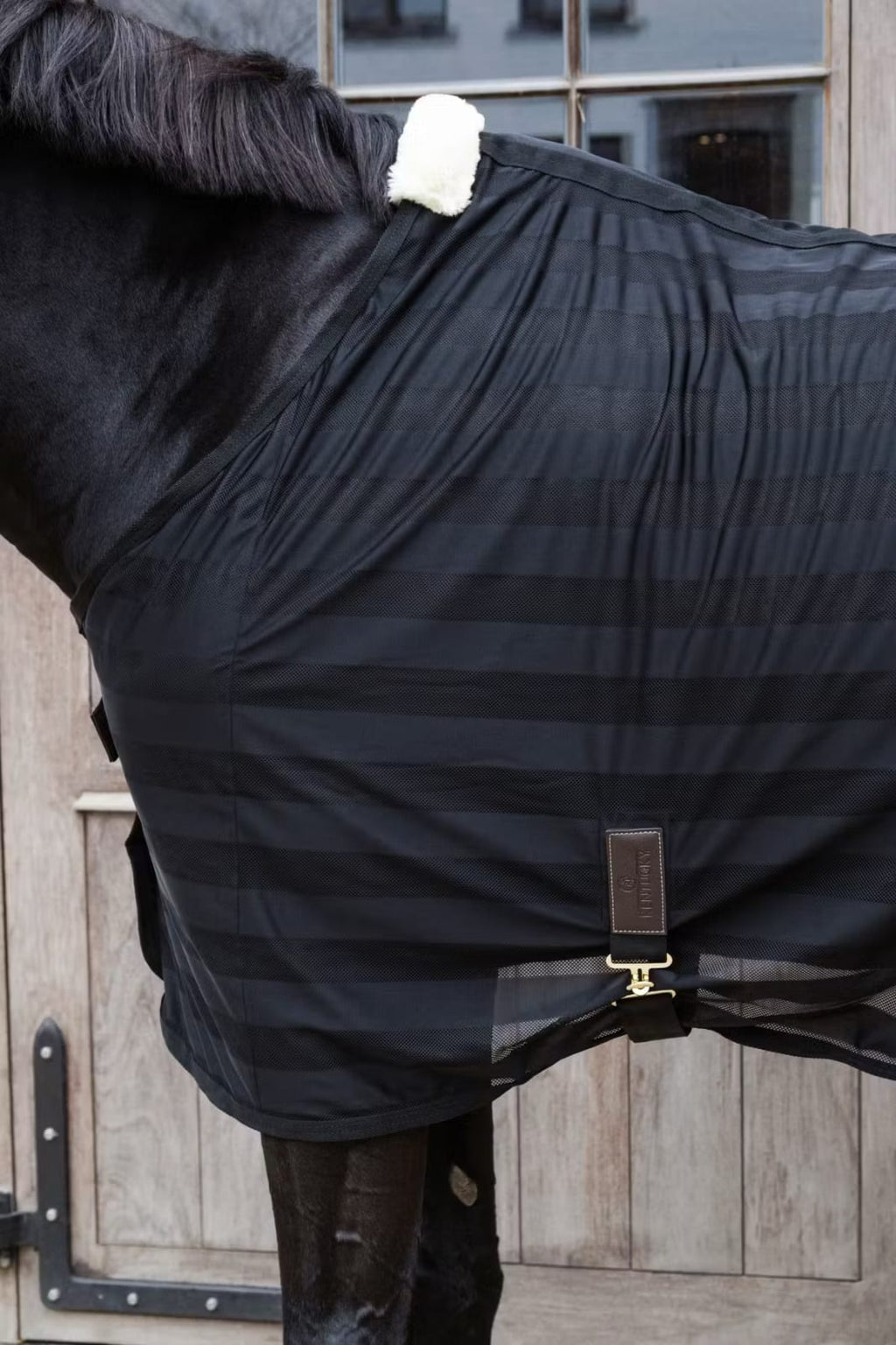 Kentucky Light Striped Mesh Fly Sheet - Løwenborg - Kentucky Horsewear