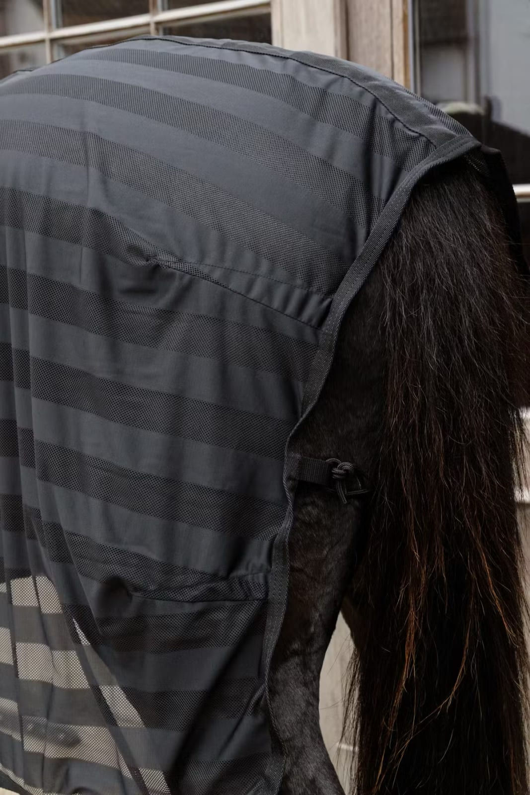 Kentucky Light Striped Mesh Fly Sheet - Løwenborg - Kentucky Horsewear