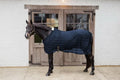 Kentucky Light Striped Mesh Fly Sheet - Løwenborg - Kentucky Horsewear