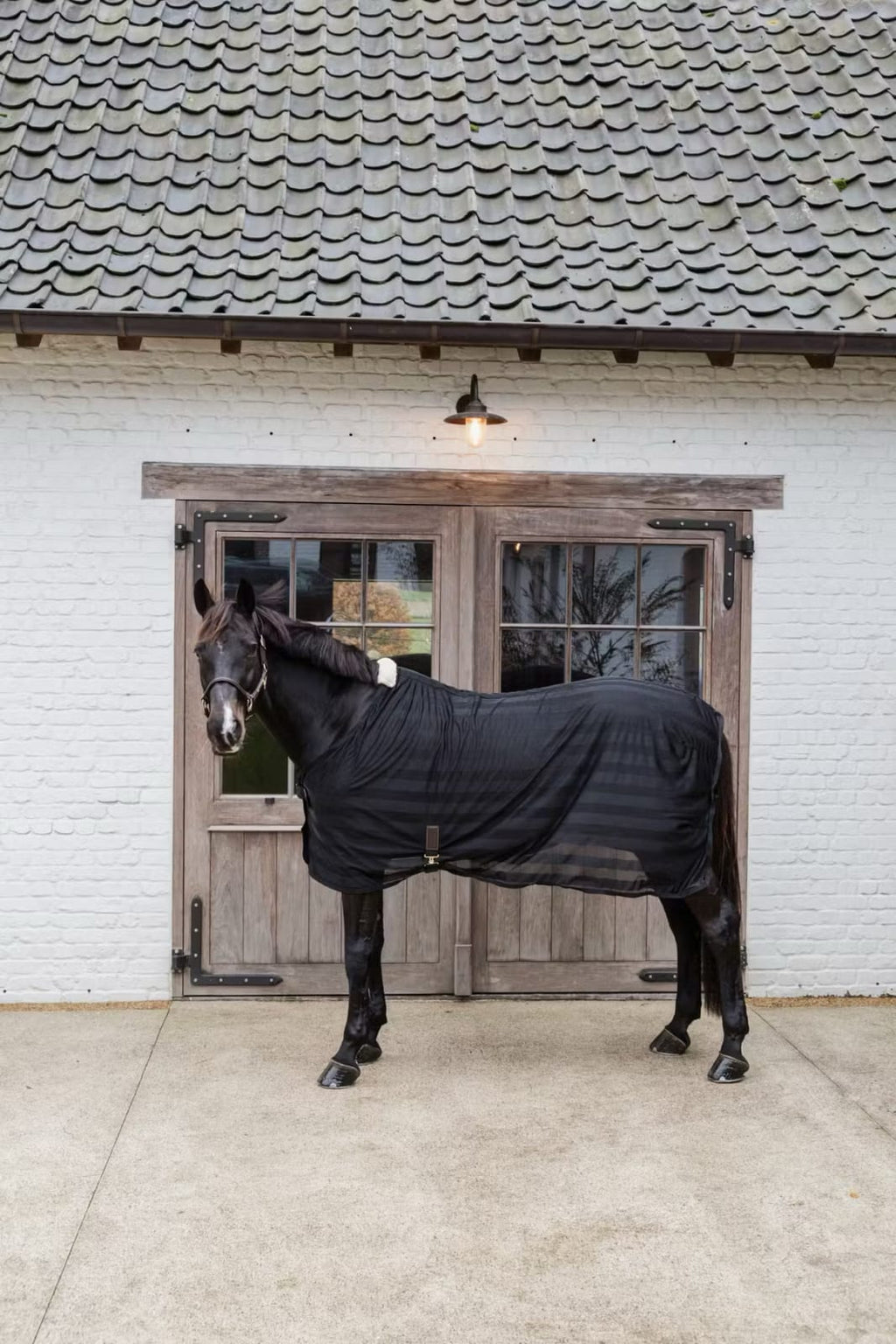 Kentucky Light Striped Mesh Fly Sheet - Løwenborg - Kentucky Horsewear
