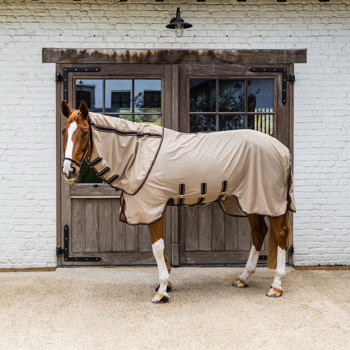 Kentucky Mesh Fly Rug Comfort - Løwenborg - Kentucky Horsewear