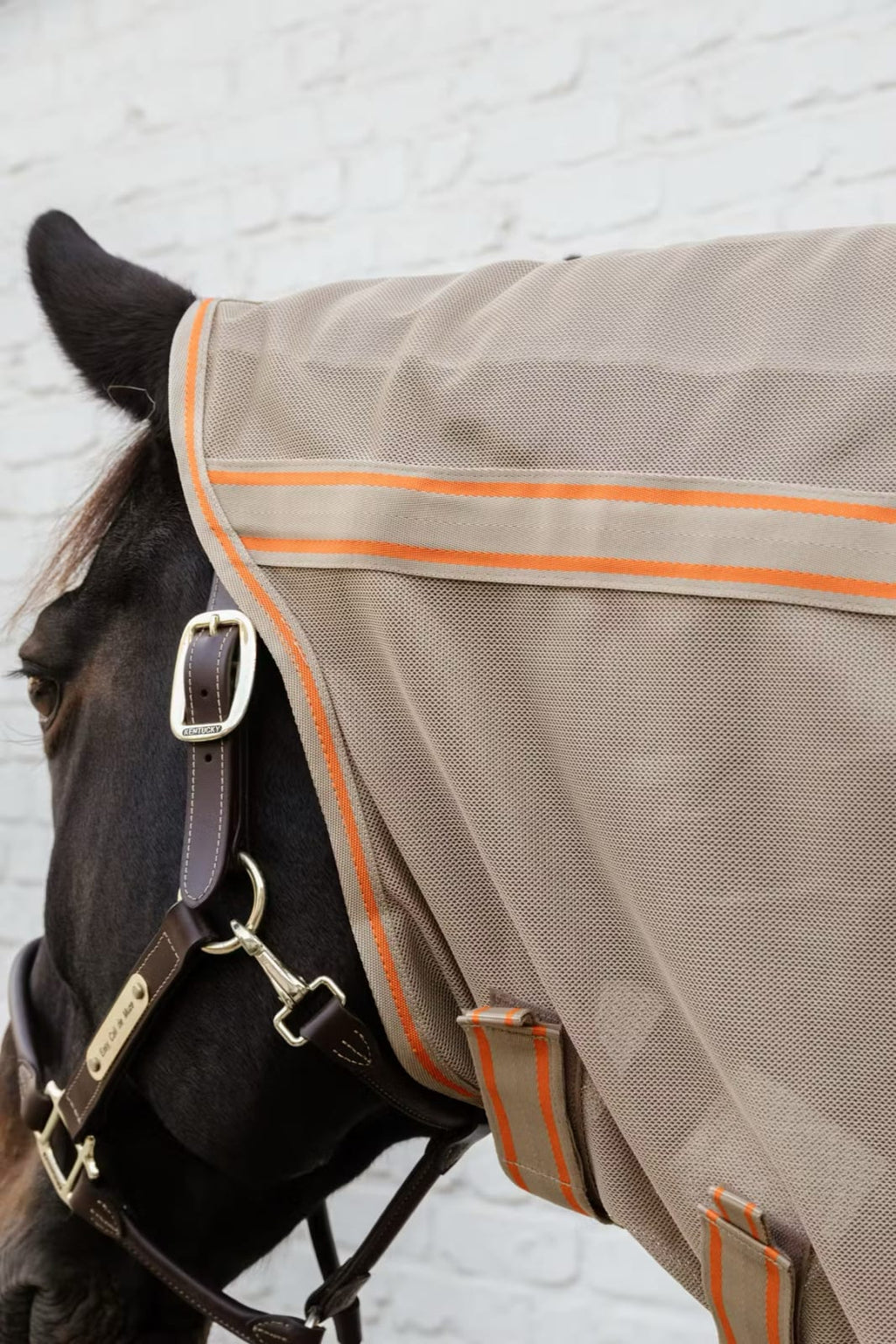 Kentucky Mesh Fly Rug Comfort - Løwenborg - Kentucky Horsewear