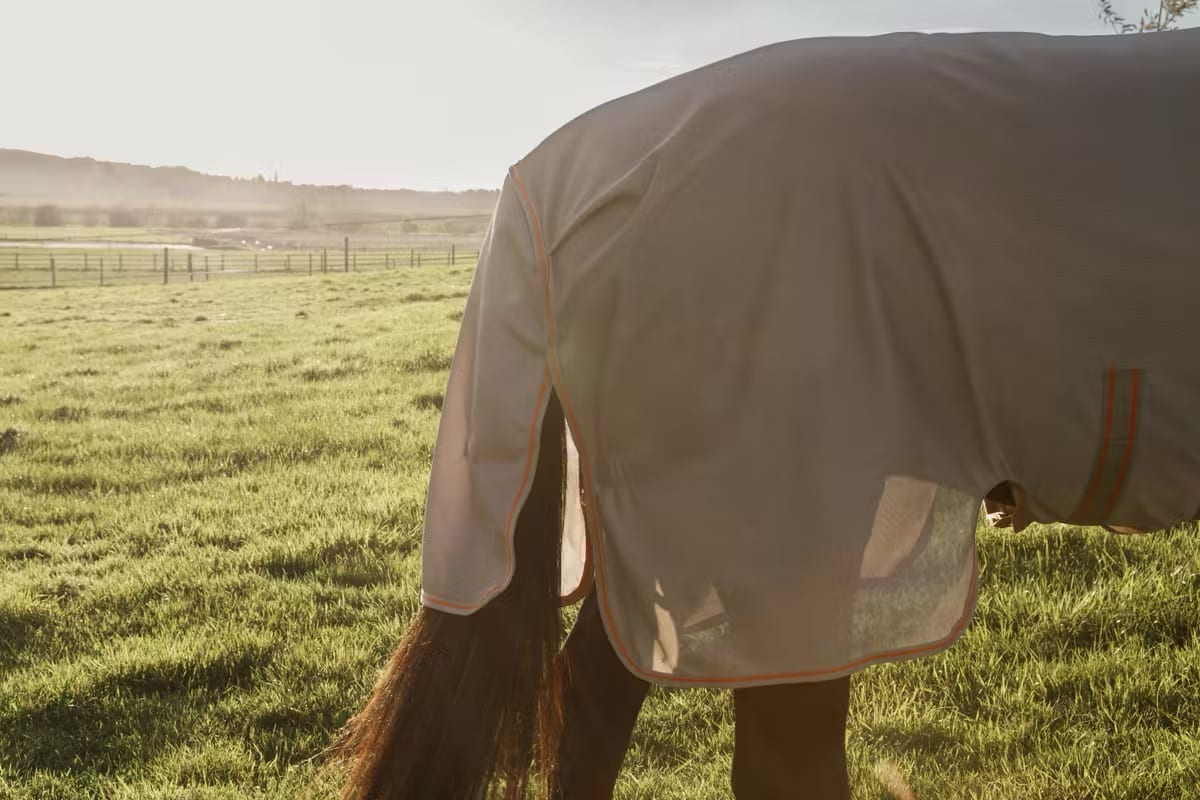 Kentucky Mesh Fly Rug Comfort