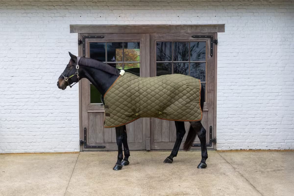 Kentucky Stable Rug Wave - Løwenborg - Kentucky Horsewear