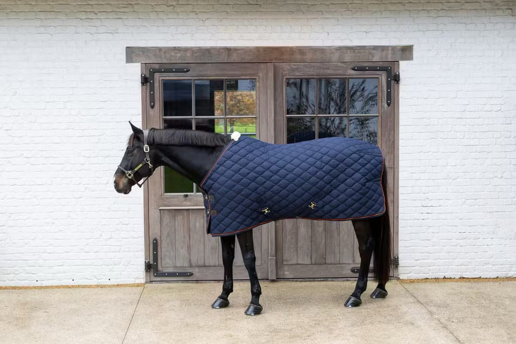 Kentucky Stable Rug Wave - Løwenborg - Kentucky Horsewear