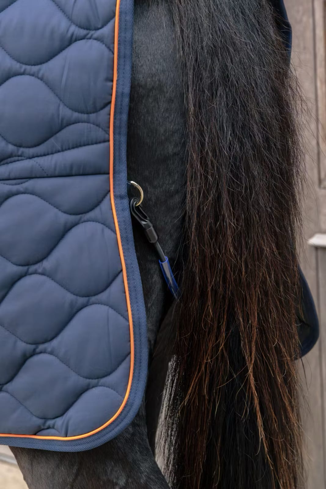 Kentucky Stable Rug Wave