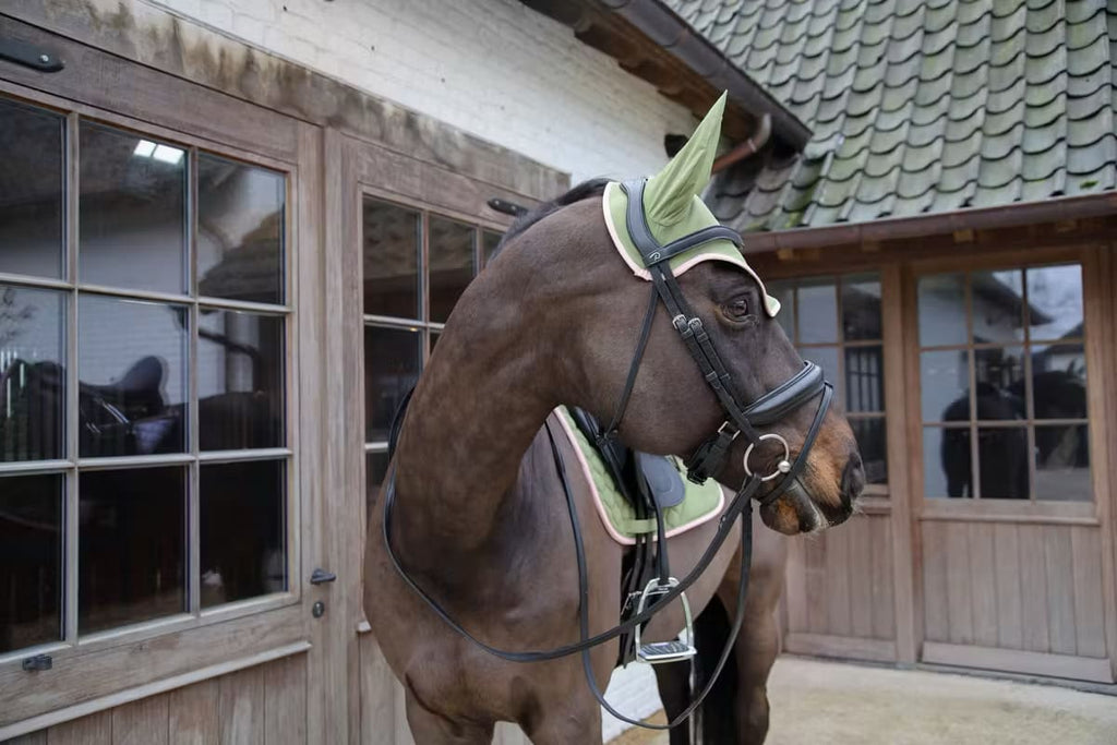 Kentucky Fly Veil Wellington Softshell - Løwenborg - Kentucky Horsewear