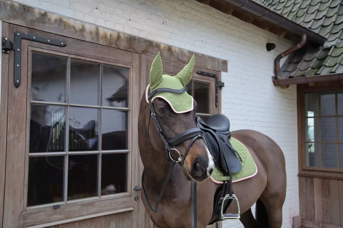 Kentucky Fly Veil Wellington Softshell - Løwenborg - Kentucky Horsewear